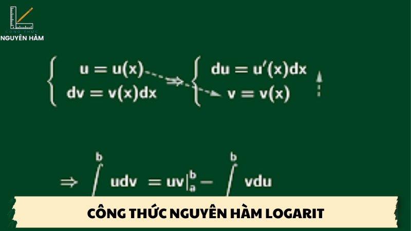 công thức nguyên hàm logarit